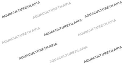 Aquaculturetilapia Place Holder
